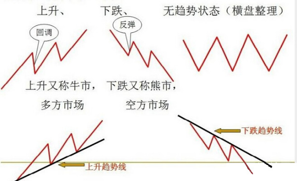 于海滨组选讲解，组六形态与独胆方向分析